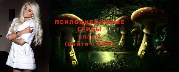 соль ск Белоозёрский