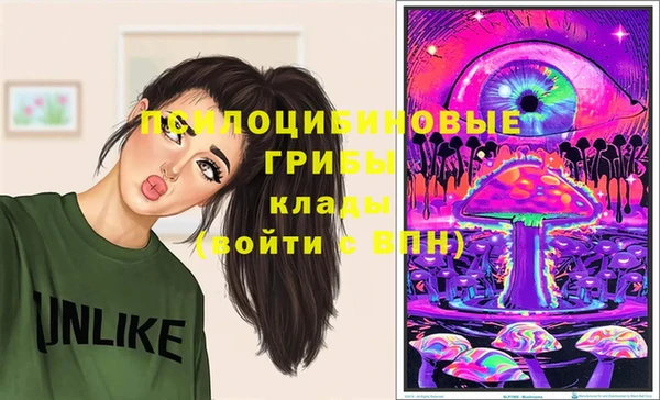 соль ск Белоозёрский