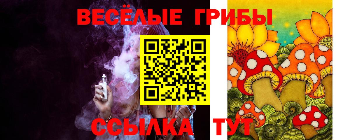 Псилоцибиновые грибы GOLDEN TEACHER  Вход с VPN  наркотики  Воскресенск 